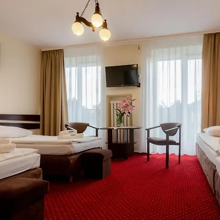 Guest house Halny 2*