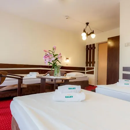 Guest house Halny 2*
