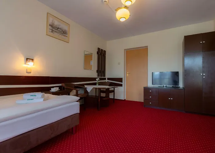 Halny בית הארחה זקופאנה