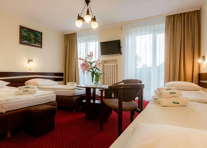 בית הארחה Halny 2*